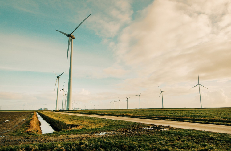 Odnawialne źródła energii – fakty i mity